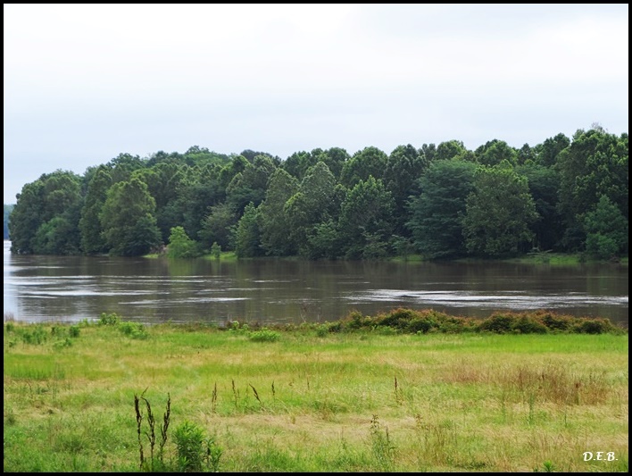 Roots From The Bayou The Jonesville Lock & Dam