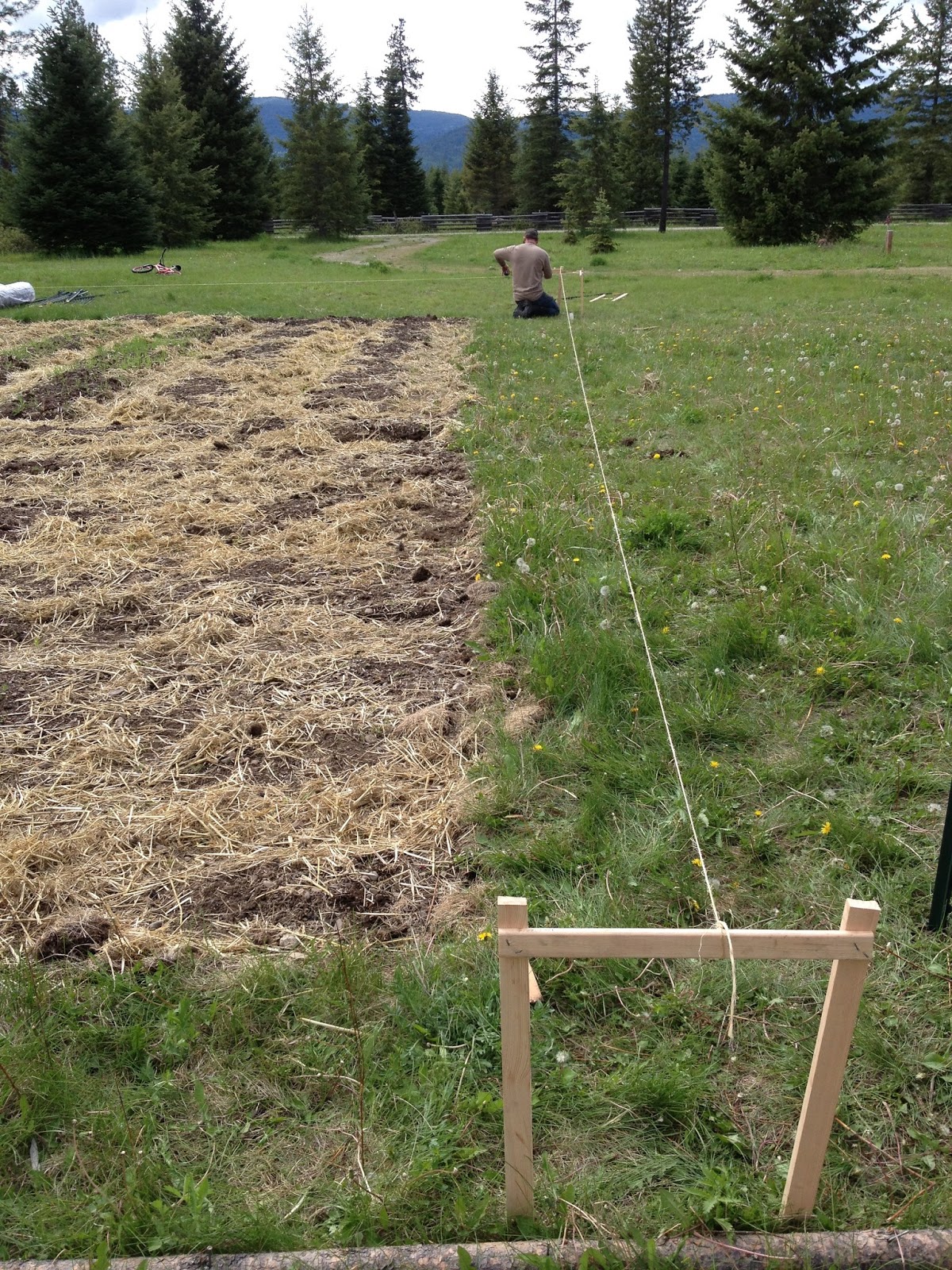 Survivology 101 Garden Defence