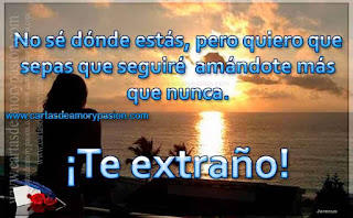 Pienso en ti al escribir esta carta. Cartas de amor,