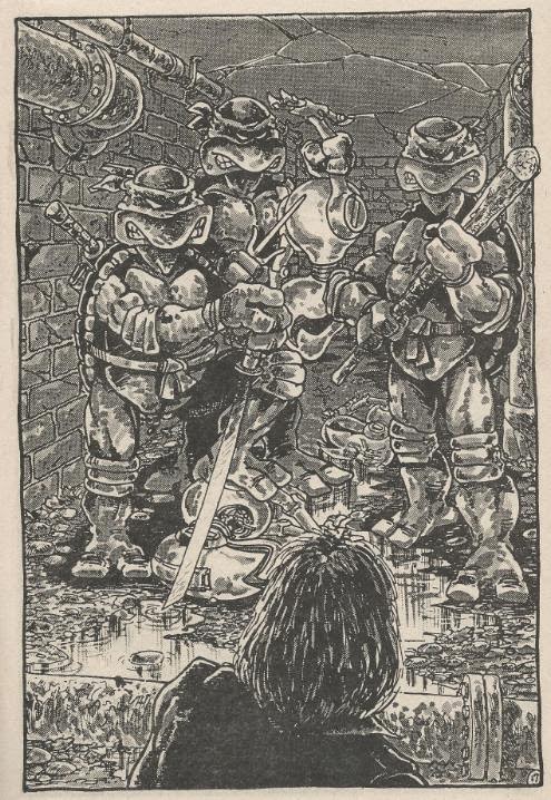 Tmnt Entity Tmnt Vol 1 2