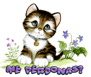 Bajar gratis imagenes chistosas fotos graciosas con frases