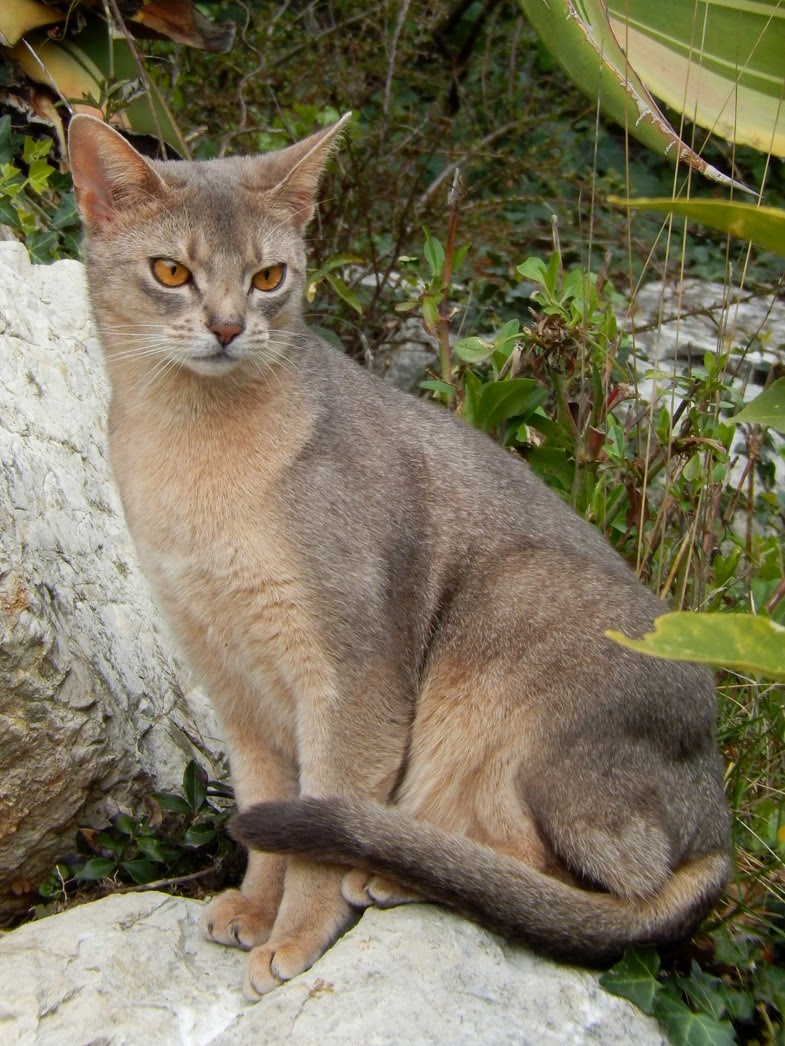 site de rencontre staff mon bled