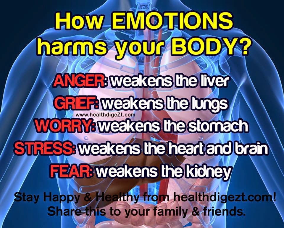 How Colors Affect Your Emotions. Beautiful Emotions Affect Your ... How Colors Affect Your Emotions. Beautiful Emotions Affect Your ...