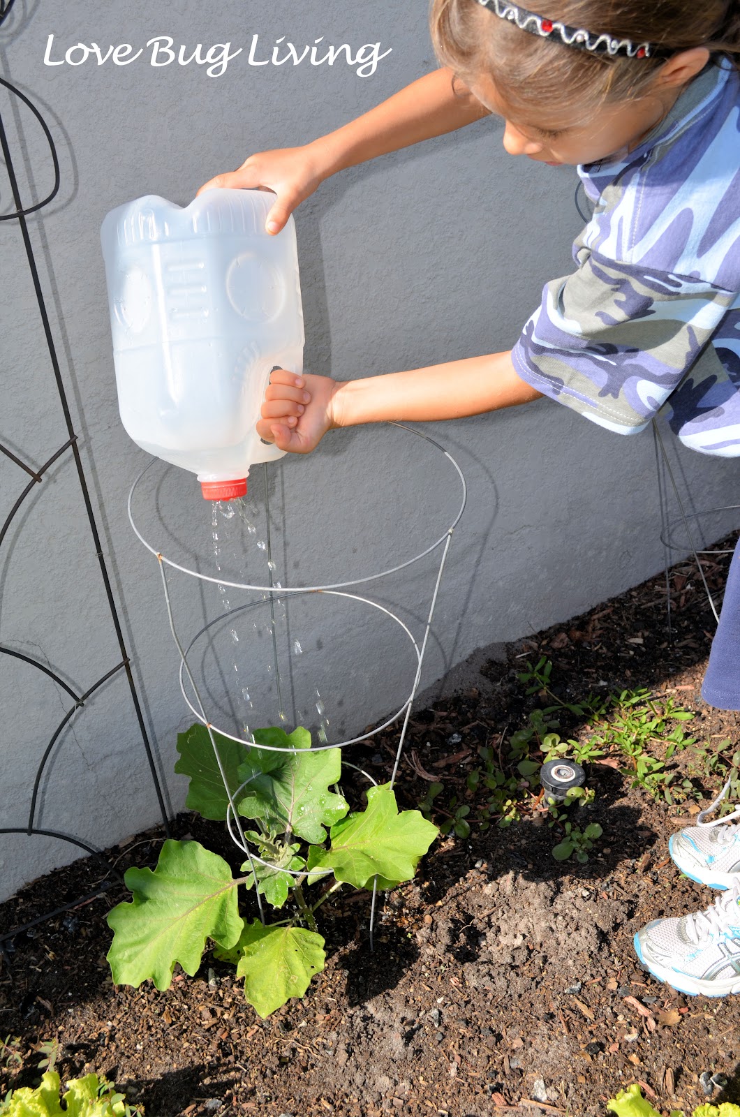 Love Bug Living Milk Jug Watering Can