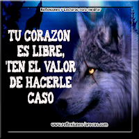 viejo, nieto, lobos,enojado, violento, amor, compasión,alimentar 