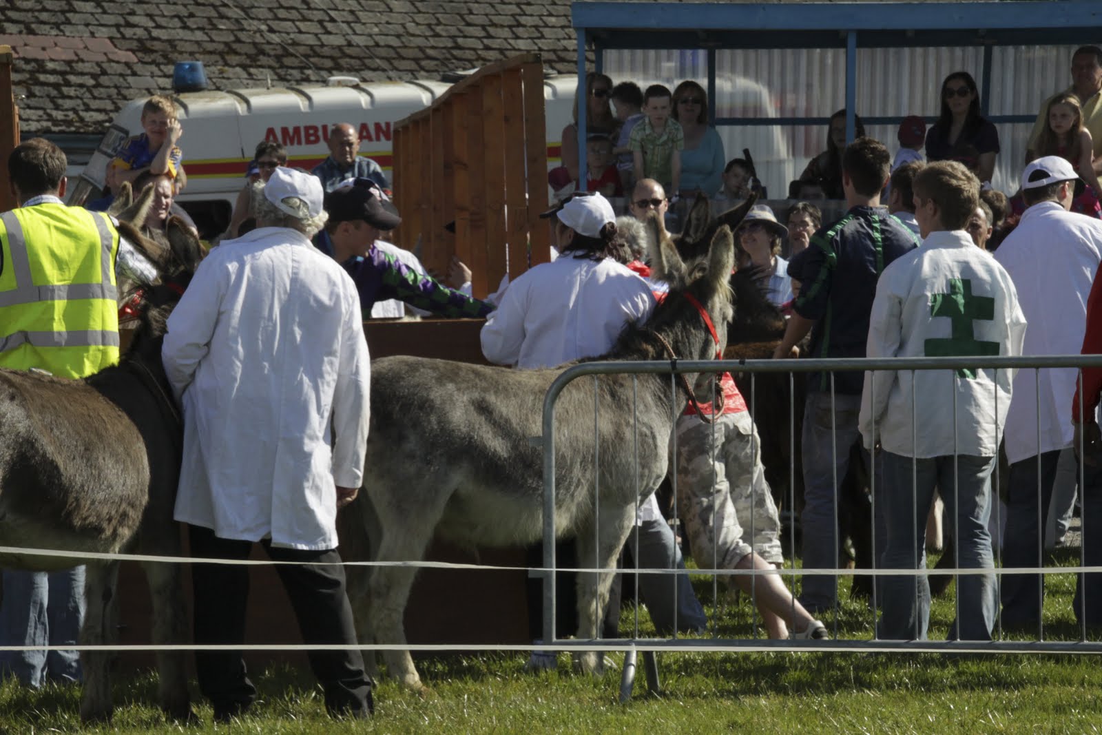 Peach and Thistle Ireland! Donkey Derby!!