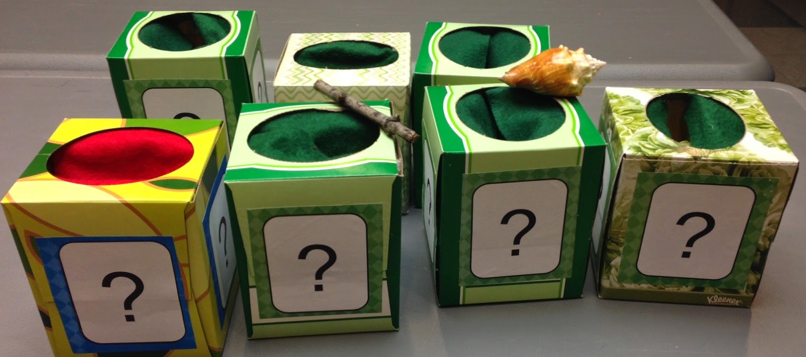 Abby the Librarian Preschool Lab Five Senses