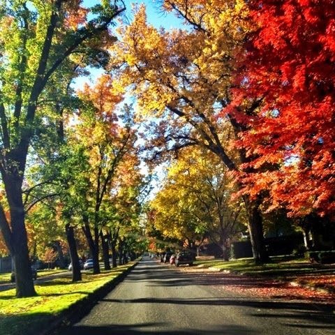 Boise in the Fall