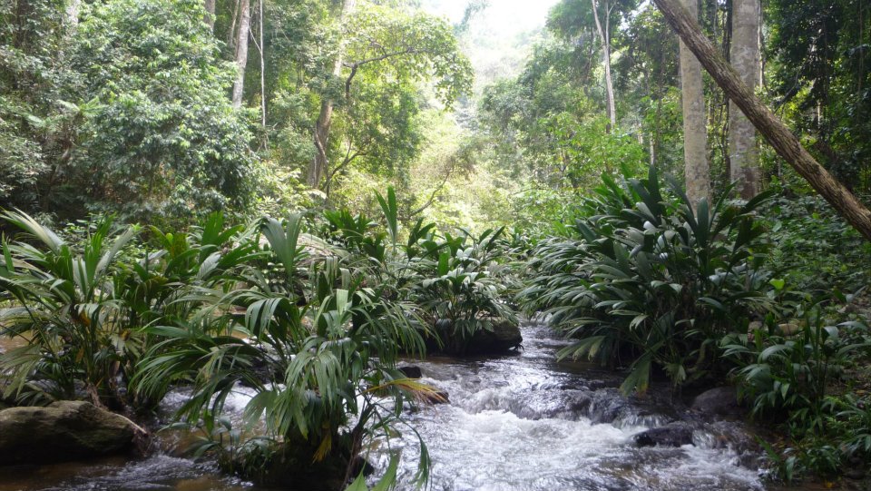 Chuao, Edo. Aragua