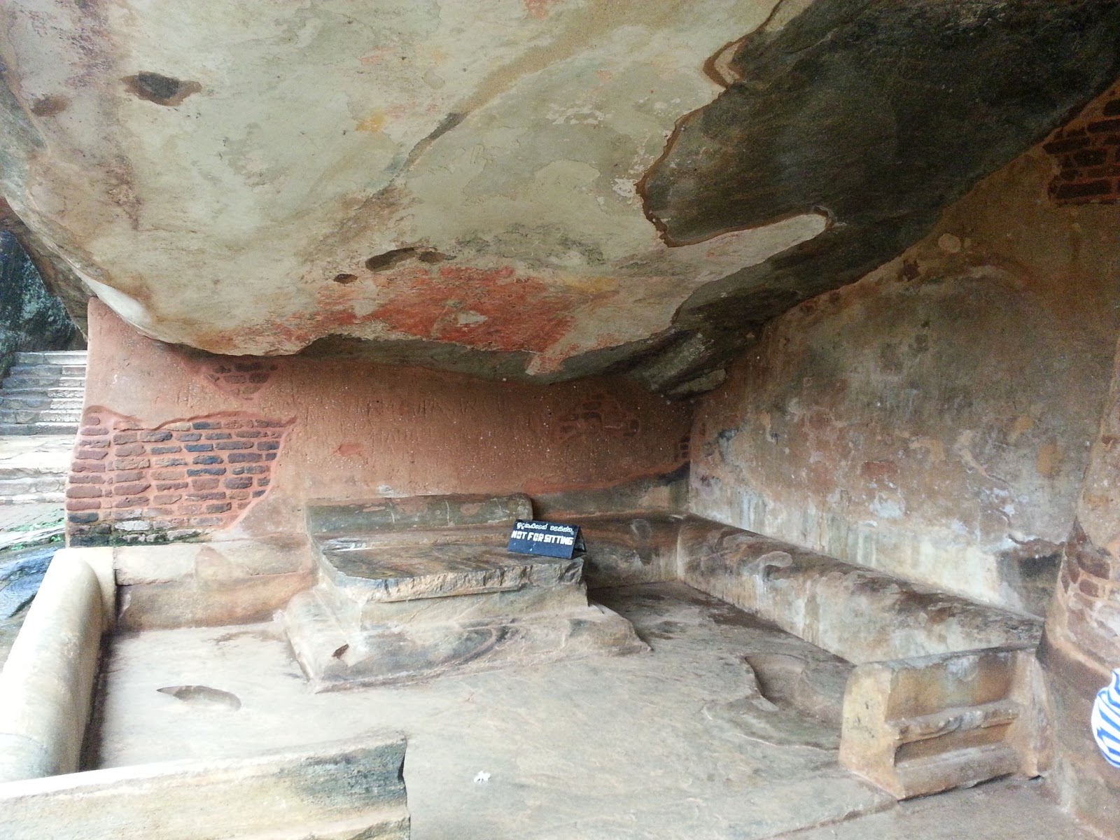 Tiger in sinhala picture