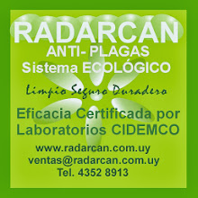 Mi foto