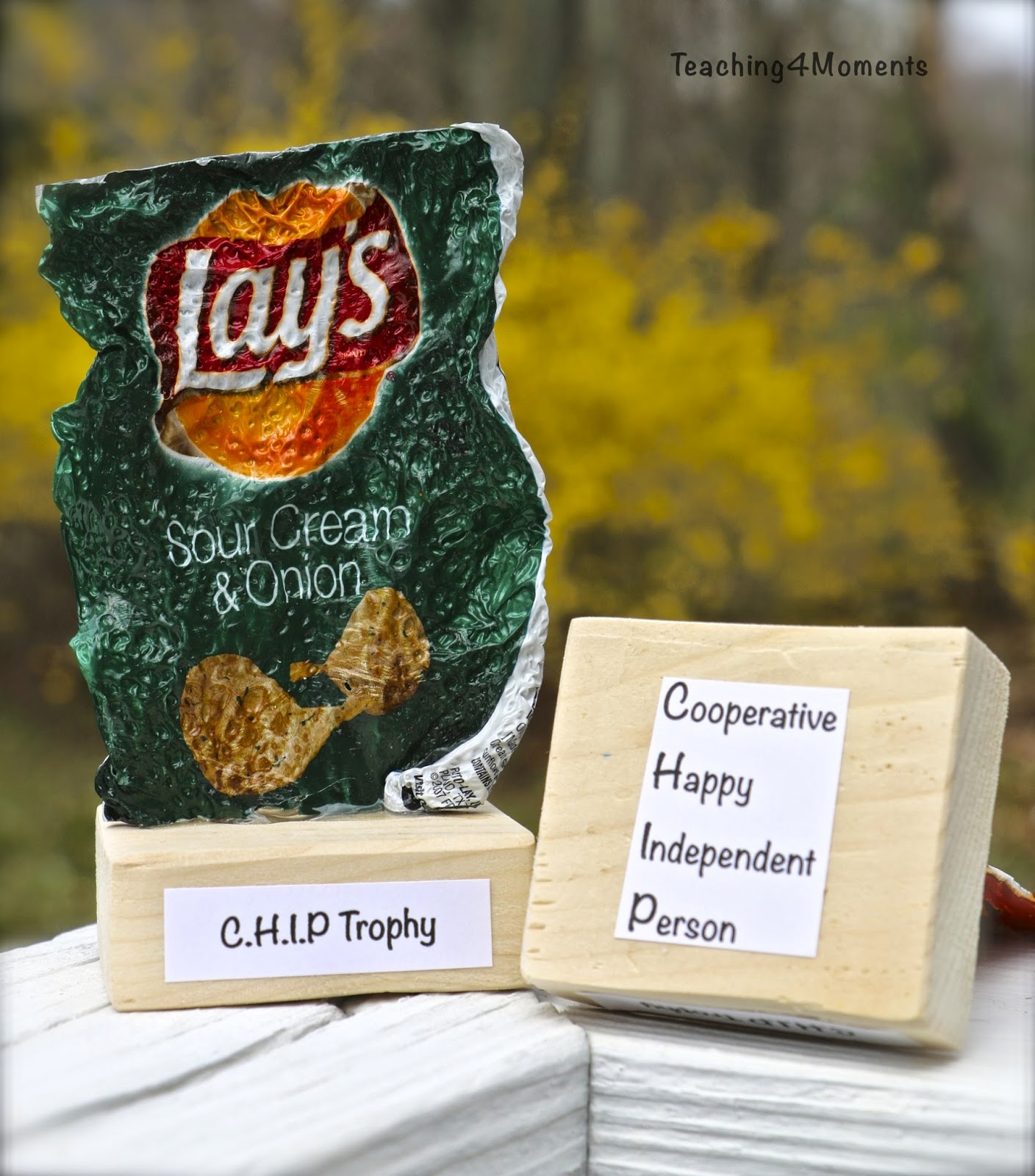 Teaching 4 Moments-CHIP Trophy: Great motivational tool