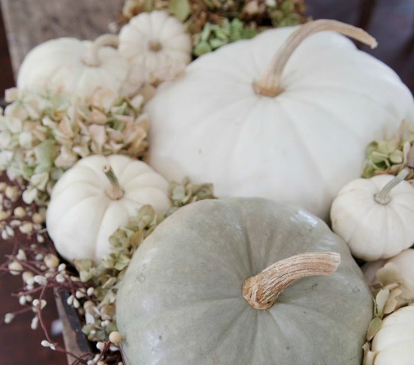 Classic with a Twist Last Minute White Pumpkin Decor
