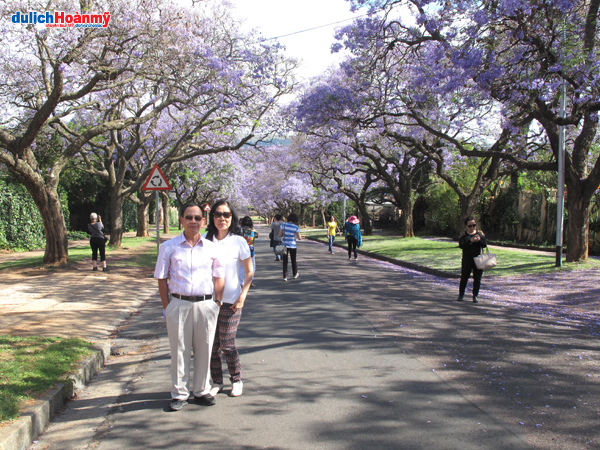 [Image: namphimuaphuongtim-2.jpg]