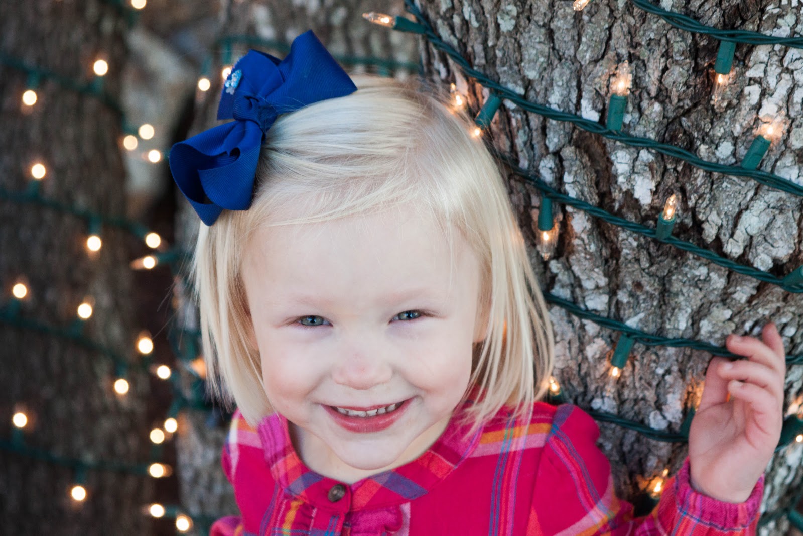 Dear President Putin Sophie Adopted From Sosnovoborsk in Krasnoyarsk