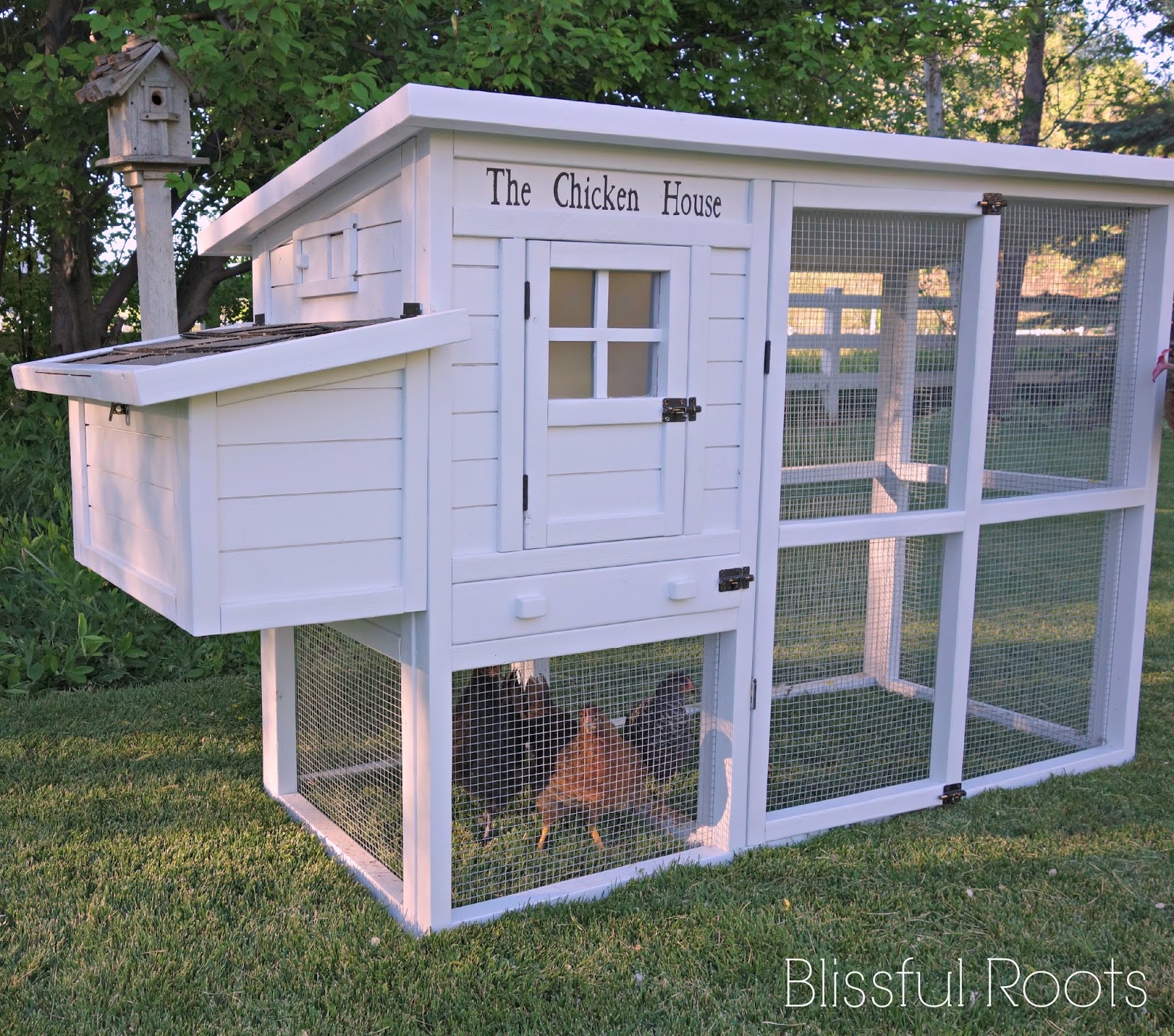 BLISSFUL ROOTS: Chicken Coop Reveal