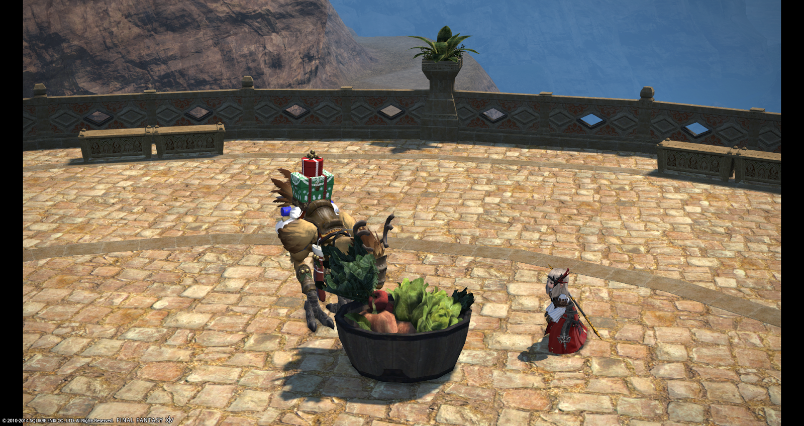 A Tank and a Healer. How to train your chocobo