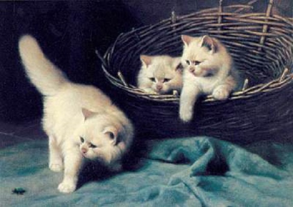FRIENDSHIP "7" by "5" CARD "White Angora Kittens"