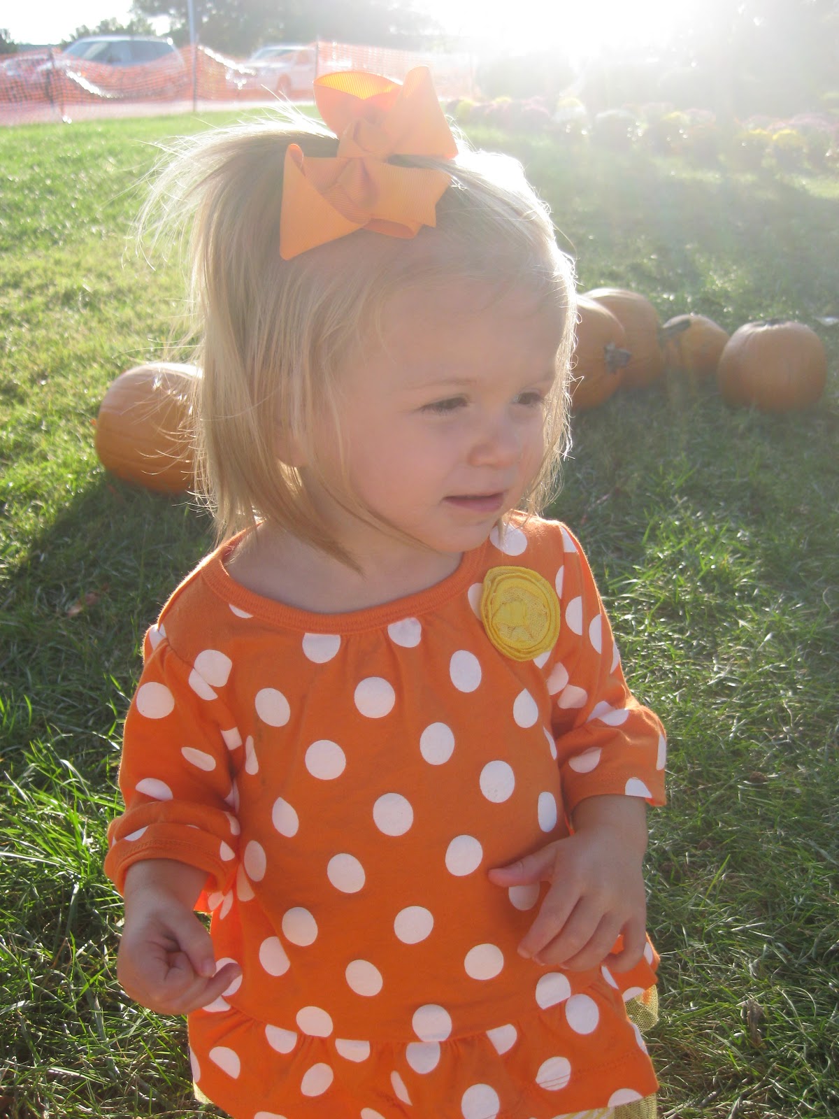 Little Pumpkin