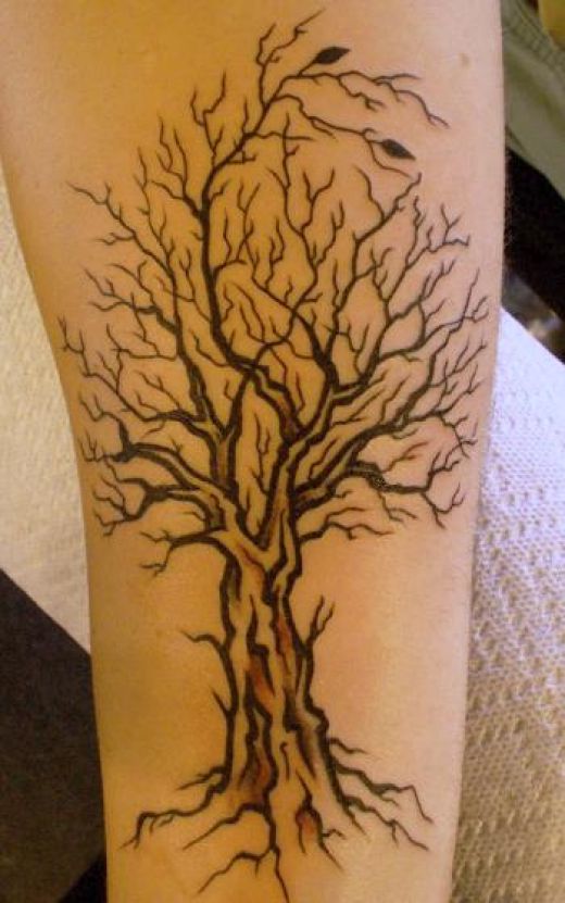 Tree Tattoos Tree Tattoos