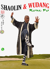 Shaolin en Madrid Kung-Fu Escuela Shaolin Tlf: 626 992 139 GrandMaster Senna y Master Paty Lee