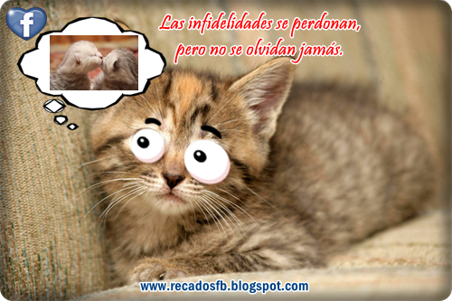 imagenes-graciosas-con-frasese-para-reflexionar.png