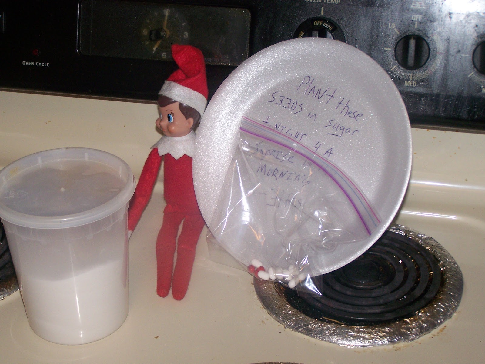 ELF ON THE SHELF IDEAS 2012