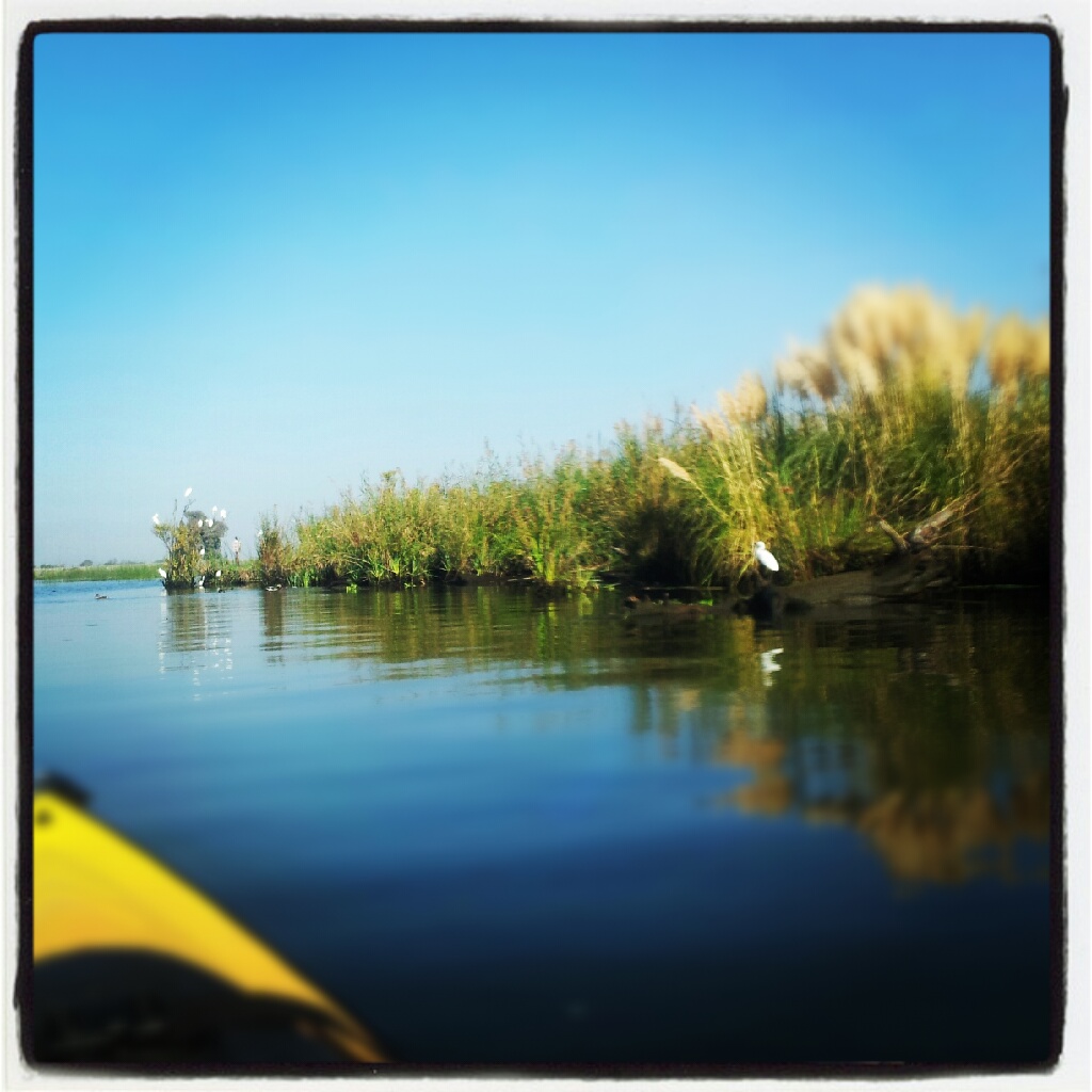 boat launch discovery bay kayaking the california delta discovery bay part 2 boat launch discovery bay kayaking the california delta discovery bay part 2