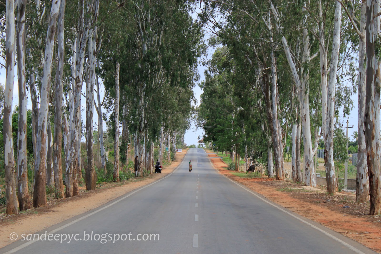 The road to Nandi Hills The road to Nandi Hills