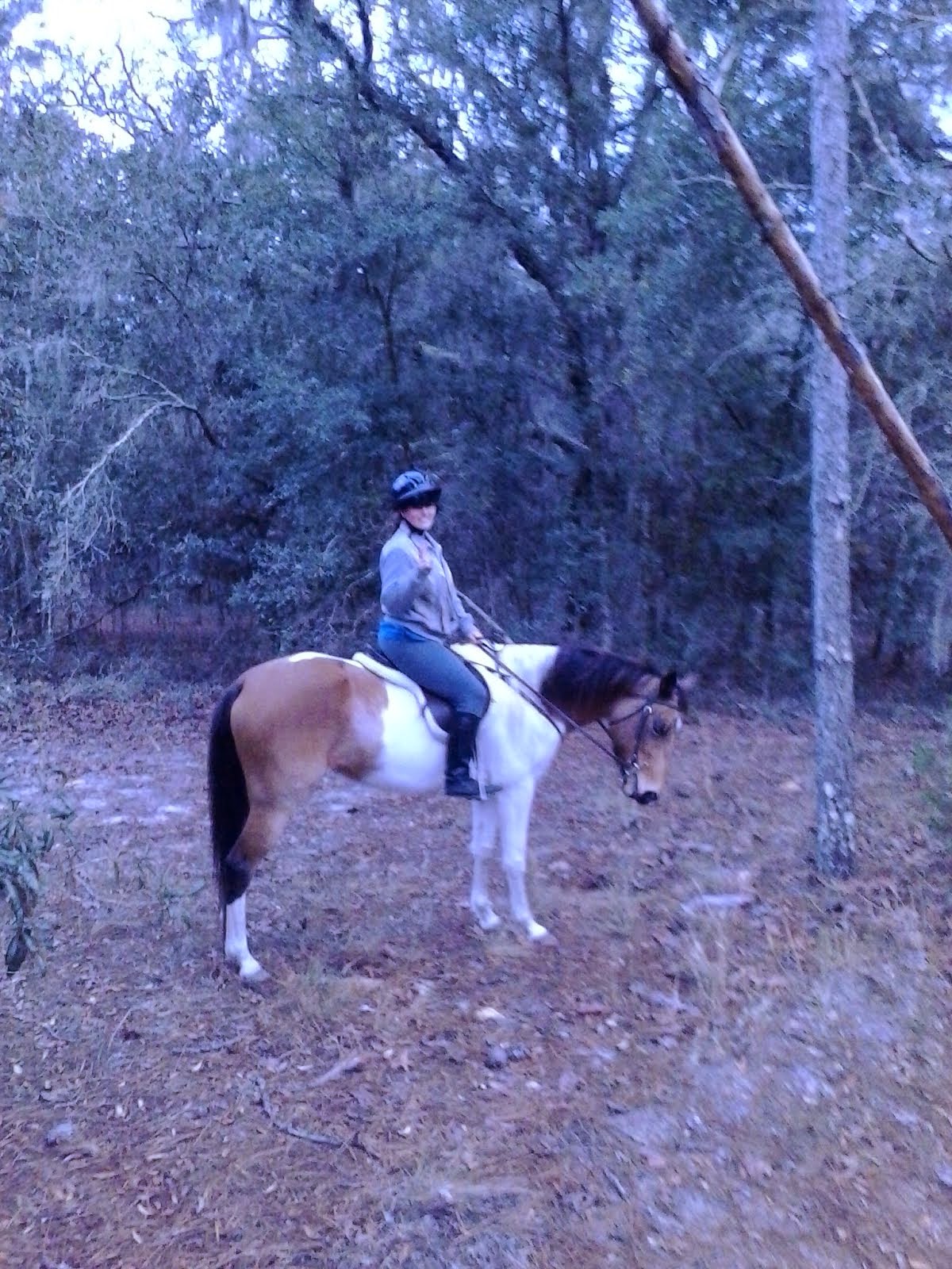 Holly 9 yr old Paint mare,, was taught top react instead of think.