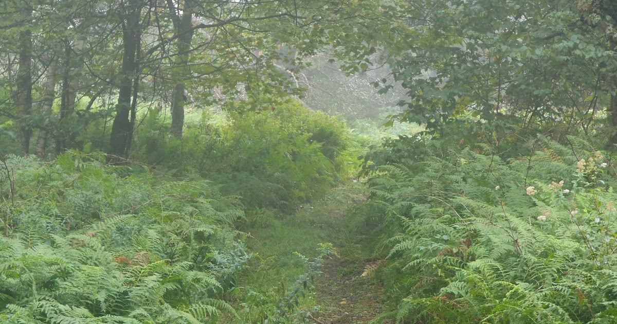 Berkshire Hiker Perry's Peak, Richmond