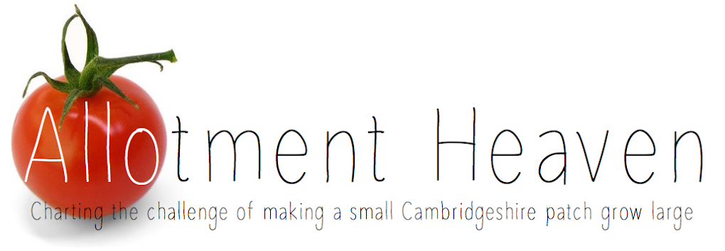 Allotment Heaven