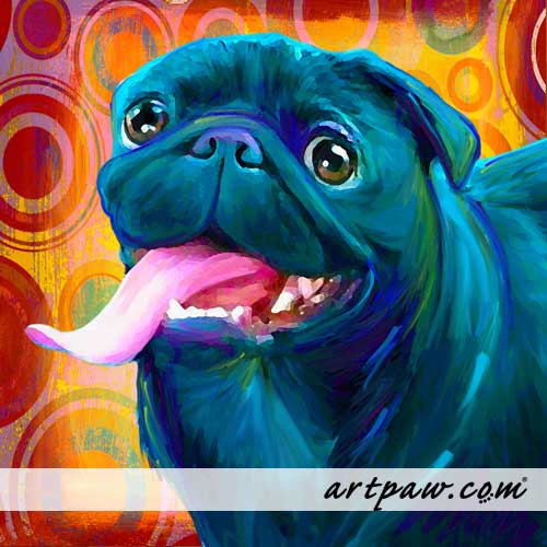 rencontre gratuite sans adresse email