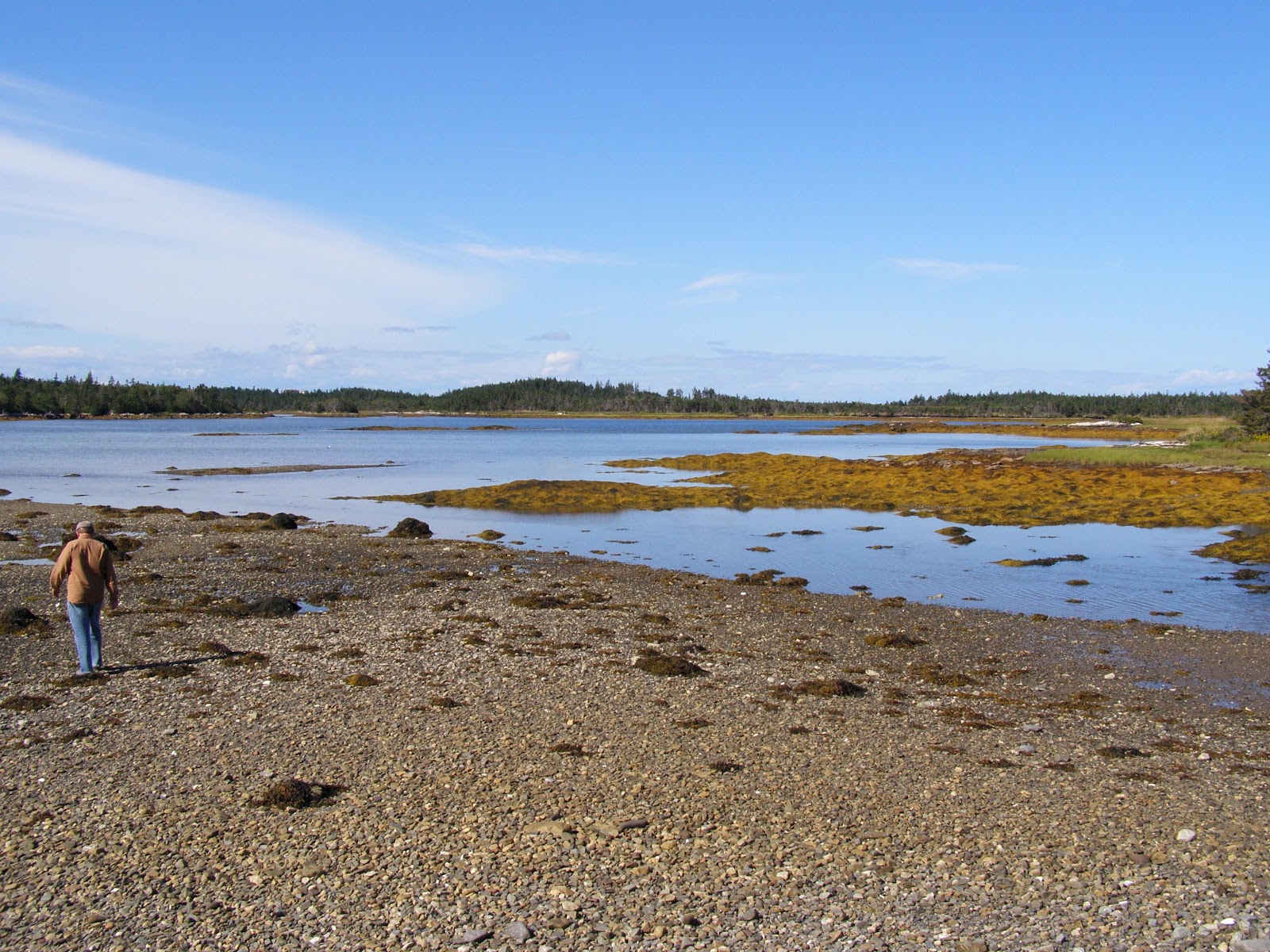 Northern Exposure 2012 Exploring Canso, Nova Scotia