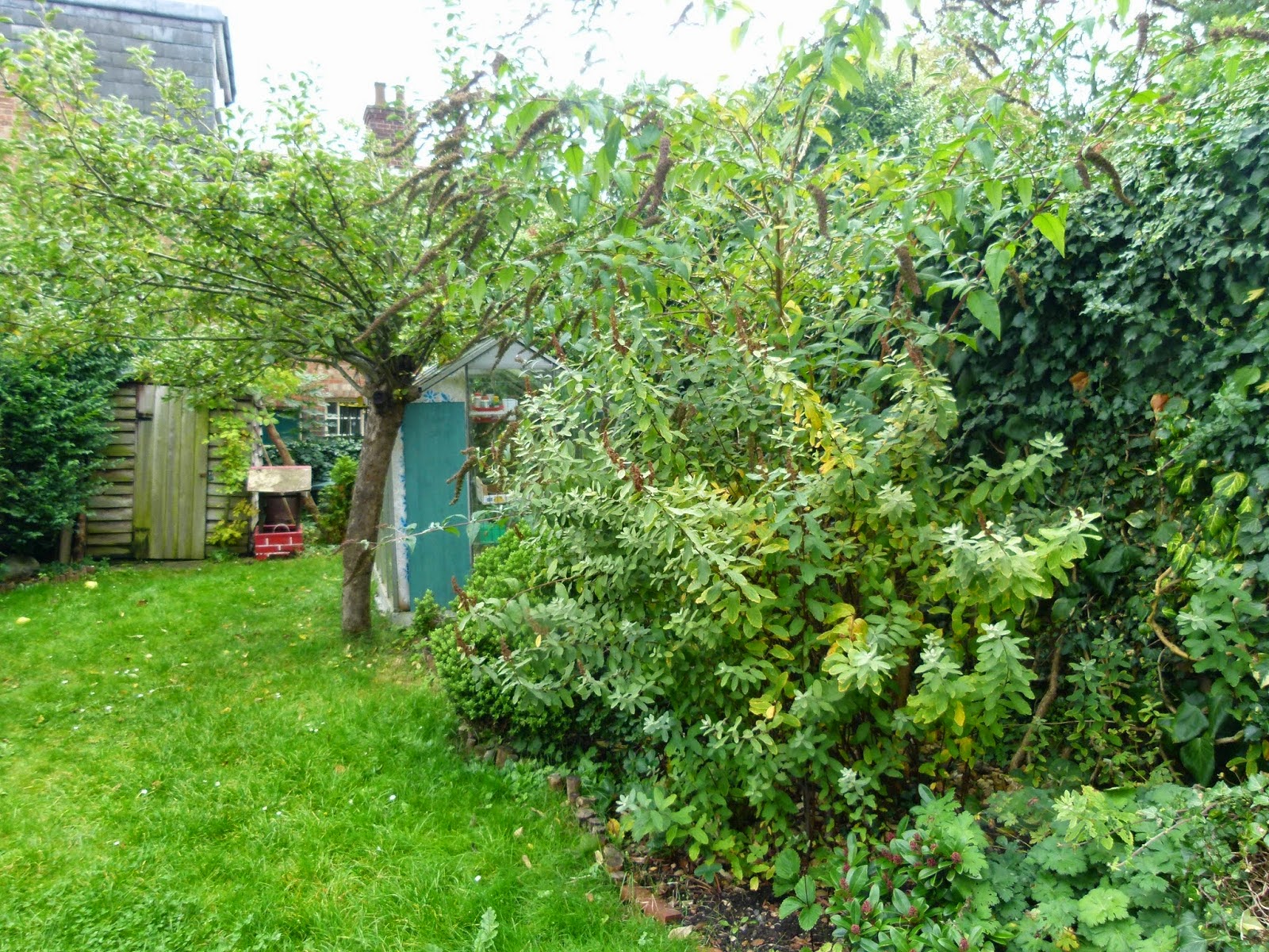Planting Ideas Garden Design
