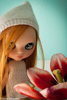 Blythe nicky lad custom niruko Blythe nicky lad custom niruko