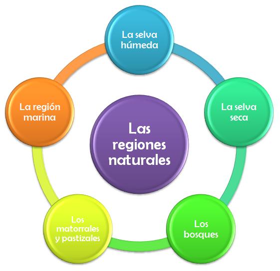 la existencia de regiones naturales en mexico mapa general de los