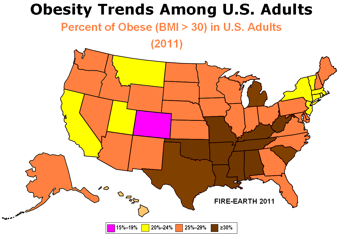 while the typical american lifestyle may seem like it is setting people up to become obese many argue that fast food corporations are a major contributing while the typical american lifestyle may seem like it is setting people up to become obese many argue that fast food corporations are a major contributing
