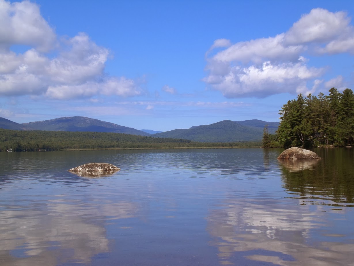 Once more to the lake quizlet image