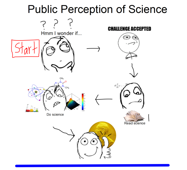 reality vs perception essay reality vs perception essay