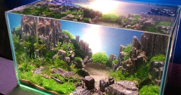 aquascape air laut mini daftar lengkap peralatan dan bahan pembuatan aquascape aquascape air laut mini daftar lengkap peralatan dan bahan pembuatan aquascape