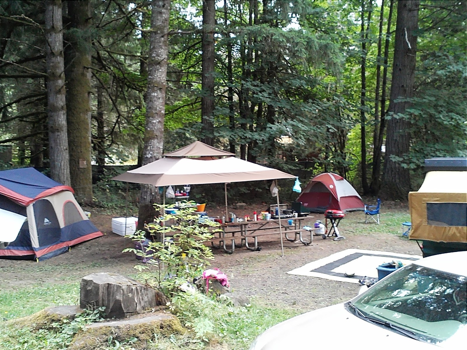 Richards Camping Adventures Big Eddy Campground Vernonia, Oregon