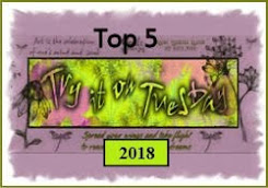 Try It On Tuesday Top 5 2018