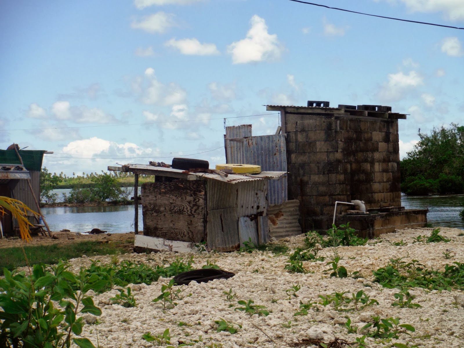 Testimonies from Tonga TONGAN HOUSES