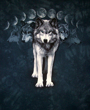 ECLIPSE LUNAR INDIO eclipse lunar indio: