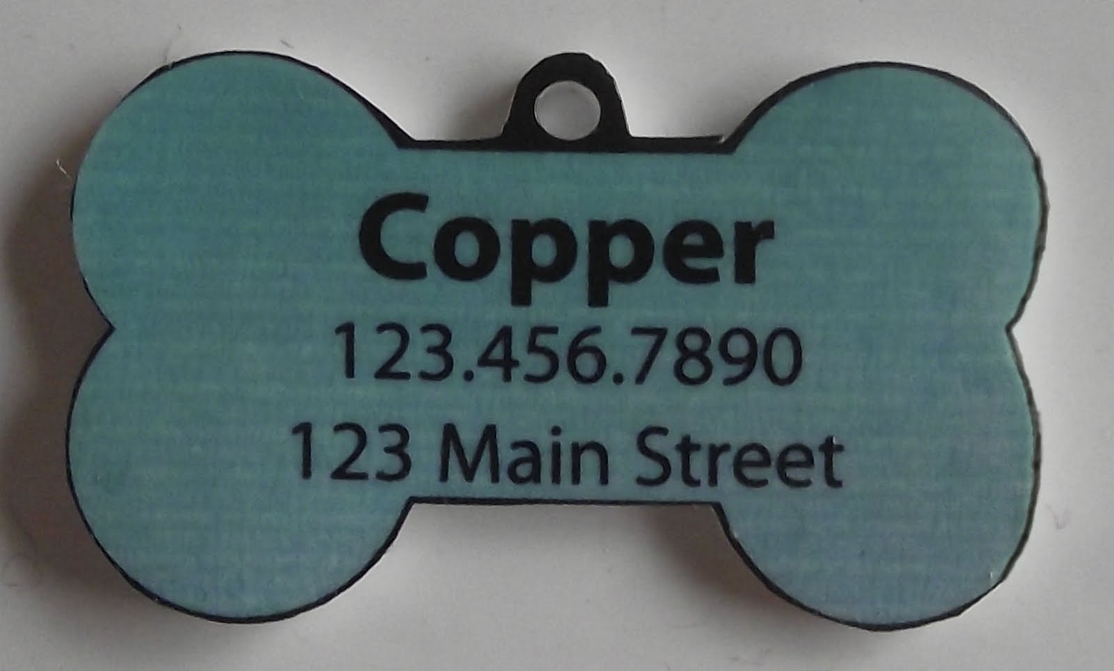 Sara vs. Sarah ShrinkyDink Dog Tags The Tutorial