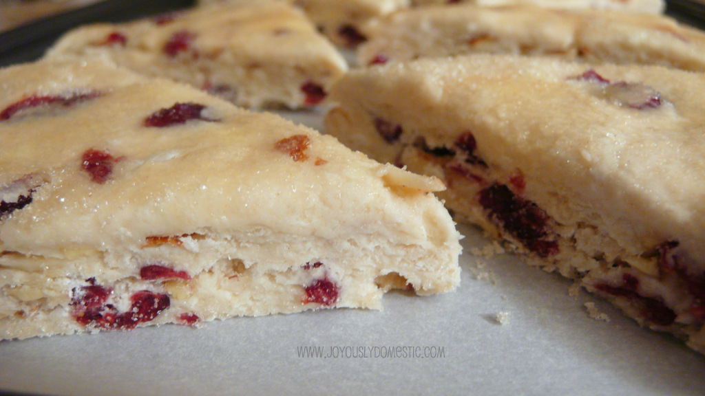 Joyously Domestic Dried Cherry and Sliced Almond Scones