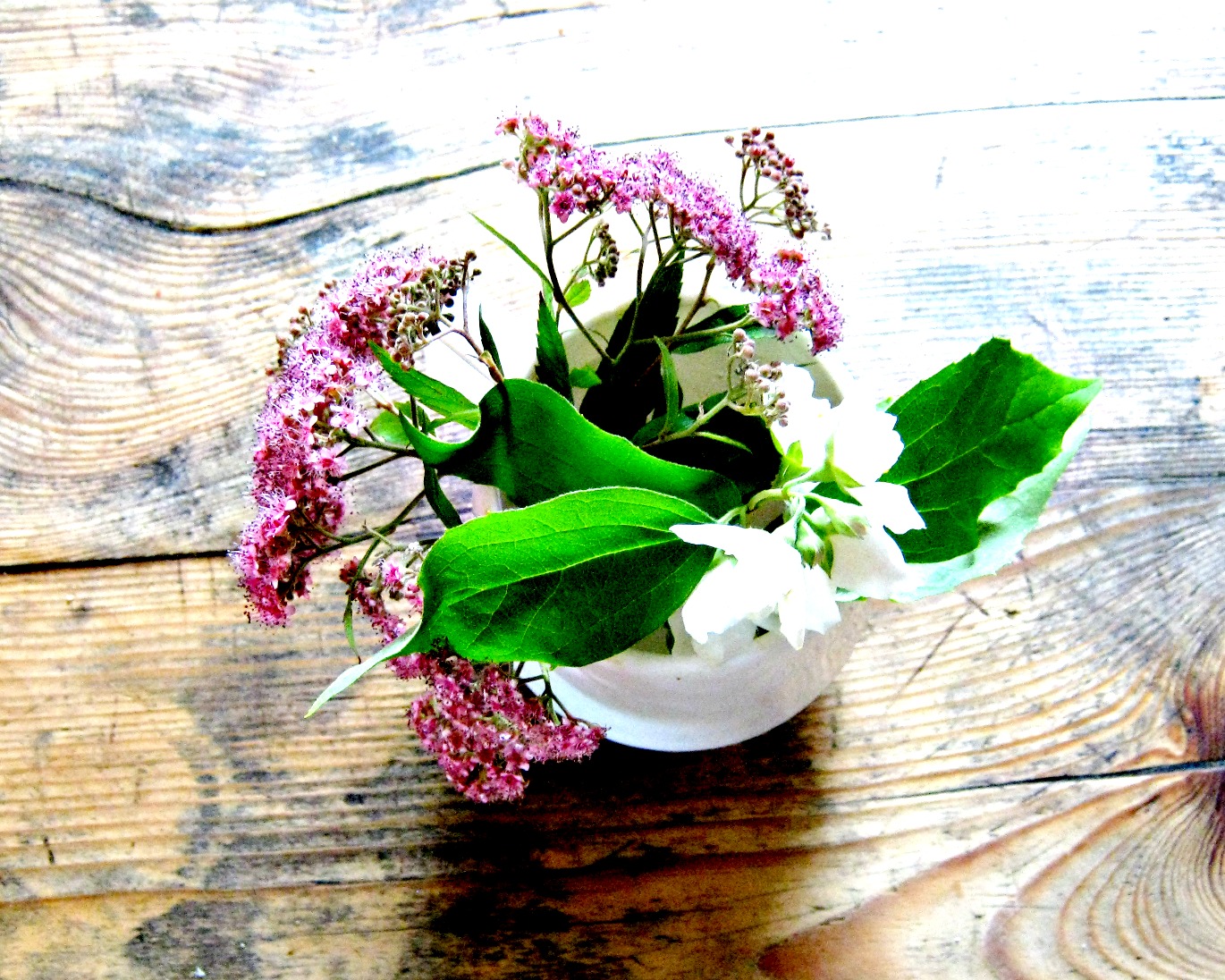 Miez Meets April 2013