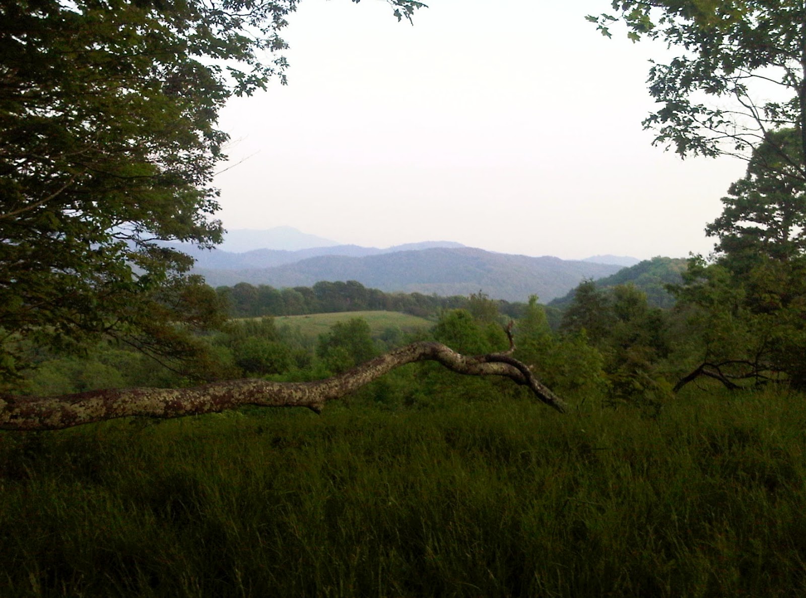 NC BACKCOUNTRY Max Patch