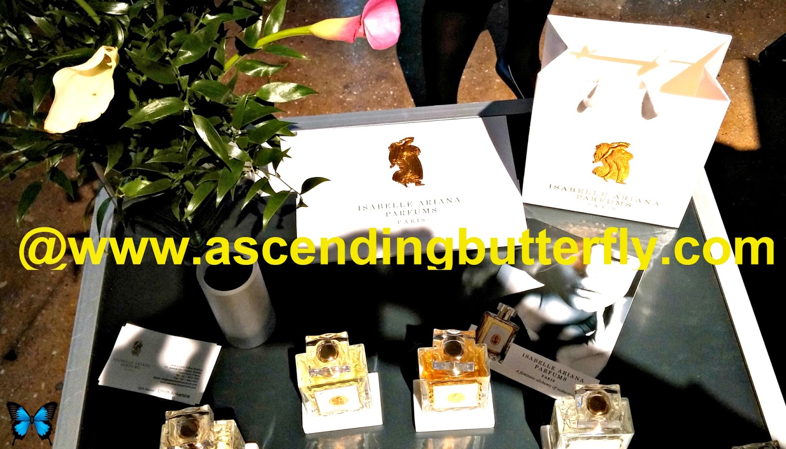 Isabelle Ariana Parfums Paris display at Elements Showcase